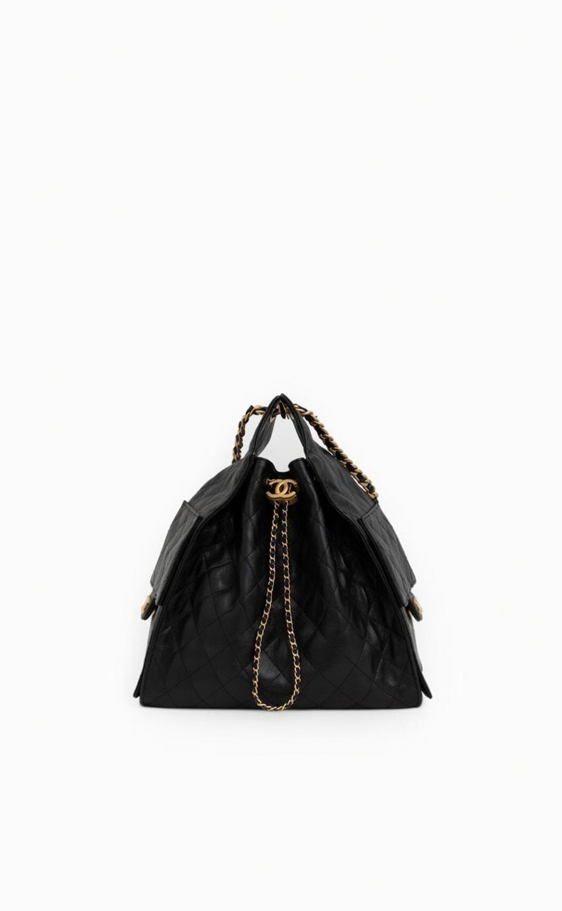 CHANEL 25 Handbag