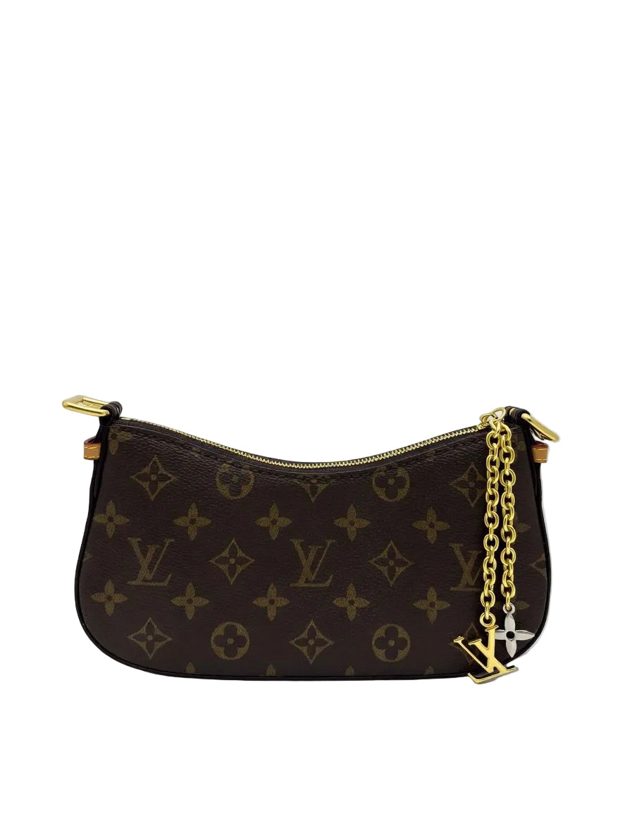 Louis Vuitton Pochette